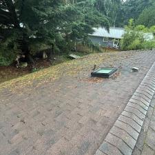 Roof-Cleaning-Excellence-in-Port-Orchard-WA 1